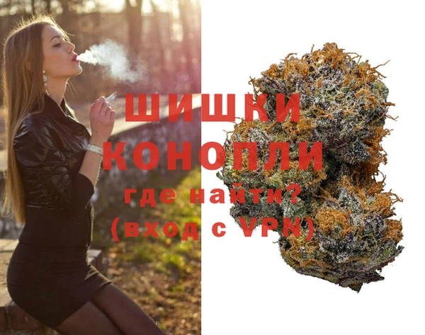 гидропоника Инта
