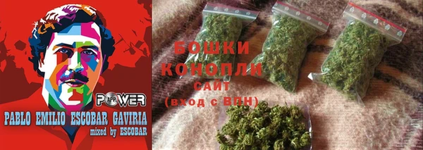 гидропоника Инта
